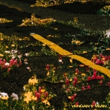 Vengan y Vean