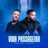 Vida Passageira