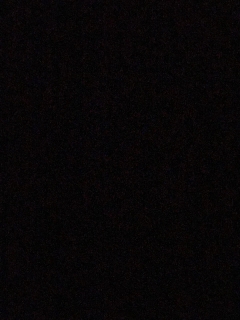 Jg