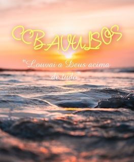 Ccb Avulsos